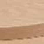 Chrome Column - Beech